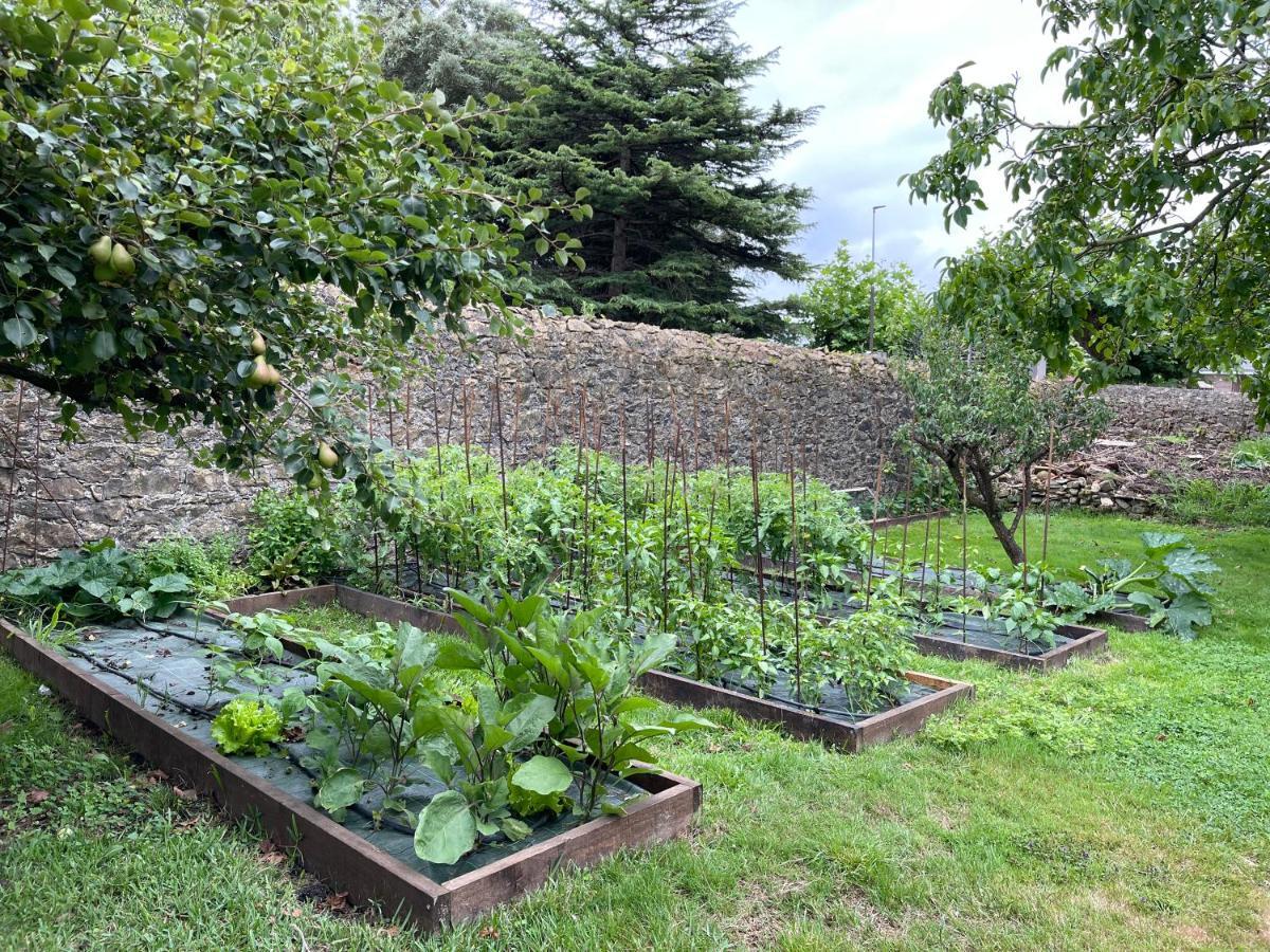 La Solana De Mogro Villa Bagian luar foto